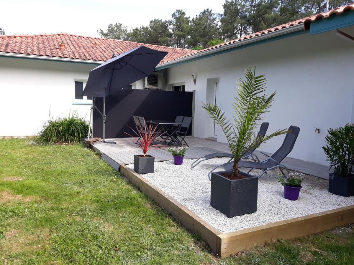 Chambre D'Hotes Du Pin Pey Exteriör bild